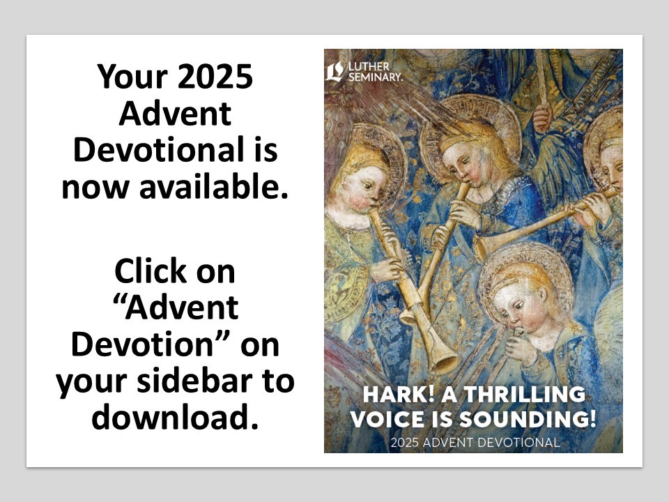 Advent Devotional.jpg